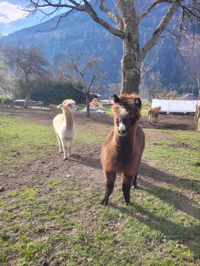 Ferienwohnung Biohof Untermar Obervellach Eksteriør billede