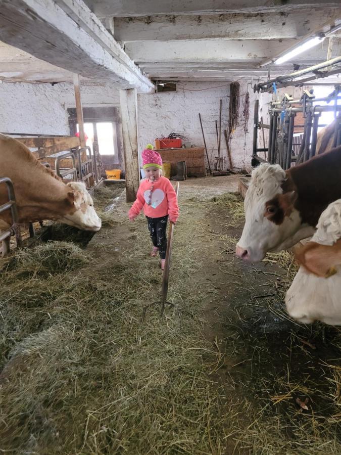 Ferienwohnung Biohof Untermar Obervellach Eksteriør billede